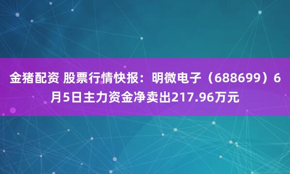 金猪配资 股票行情快报：明微电子（688699）6月5日主力资金净卖出217.96万元