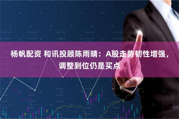 杨帆配资 和讯投顾陈雨晴：A股走势韧性增强，调整到位仍是买点