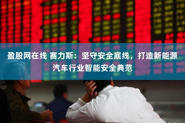 盈股网在线 赛力斯：坚守安全底线，打造新能源汽车行业智能安全典范