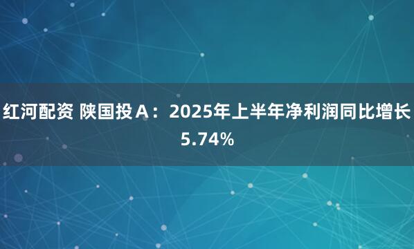 红河配资 陕国投Ａ：2025年上半年净利润同比增长5.74%