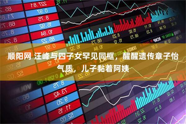 顺阳网 汪峰与四子女罕见同框，醒醒遗传章子怡气质，儿子黏着阿姨