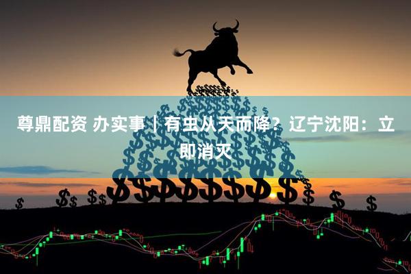 尊鼎配资 办实事｜有虫从天而降？辽宁沈阳：立即消灭