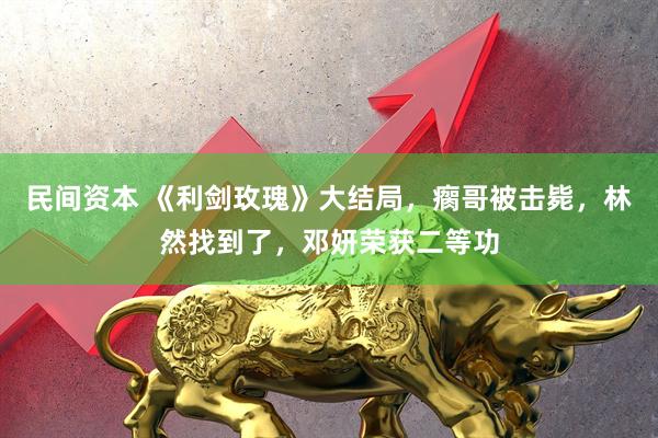 民间资本 《利剑玫瑰》大结局，瘸哥被击毙，林然找到了，邓妍荣获二等功