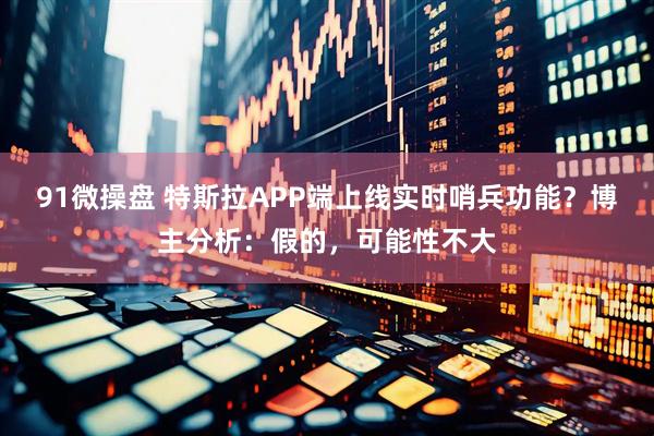 91微操盘 特斯拉APP端上线实时哨兵功能？博主分析：假的，可能性不大