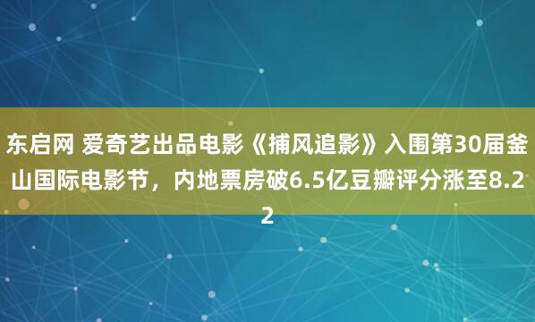 东启网 爱奇艺出品电影《捕风追影》入围第30届釜山国际电影节，内地票房破6.5亿豆瓣评分涨至8.2