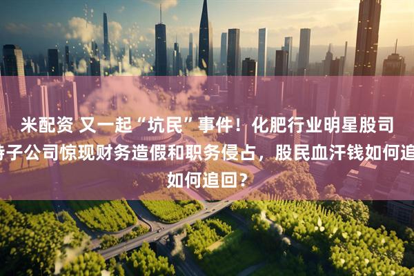 米配资 又一起“坑民”事件！化肥行业明星股司尔特子公司惊现财务造假和职务侵占，股民血汗钱如何追回？