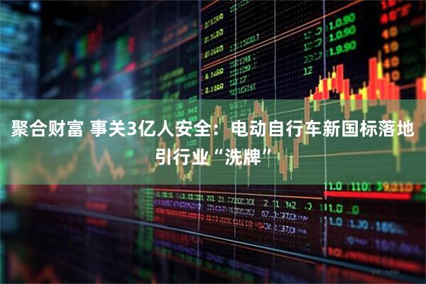 聚合财富 事关3亿人安全：电动自行车新国标落地引行业“洗牌”