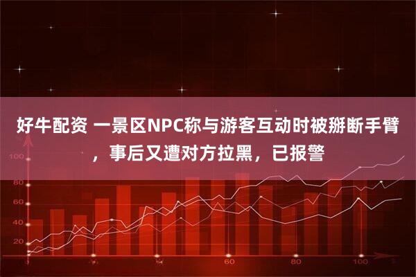 好牛配资 一景区NPC称与游客互动时被掰断手臂,事后又遭对方拉黑,已报警